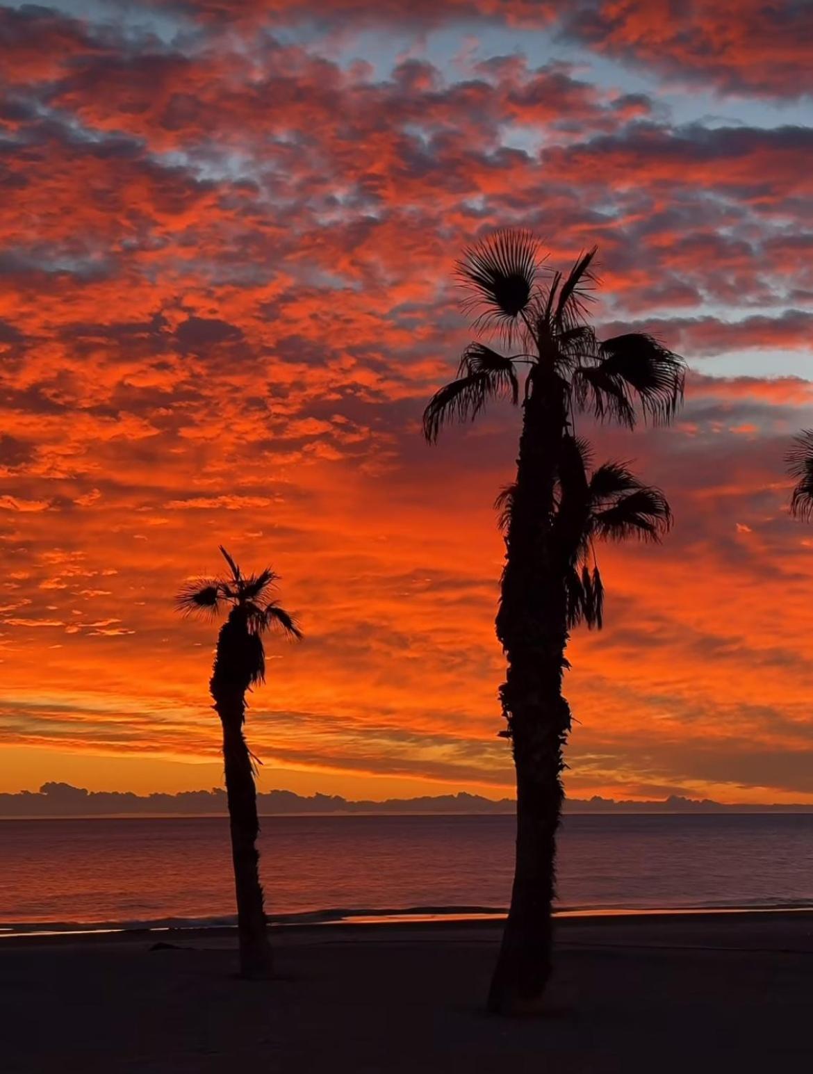Apartamento Stunning Sea View Alicante Exterior foto