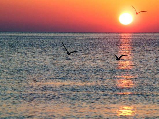 Apartamento Stunning Sea View Alicante Exterior foto