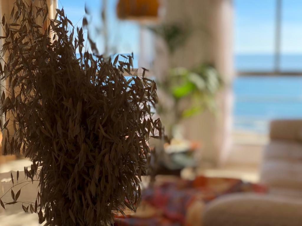 Apartamento Stunning Sea View Alicante Exterior foto